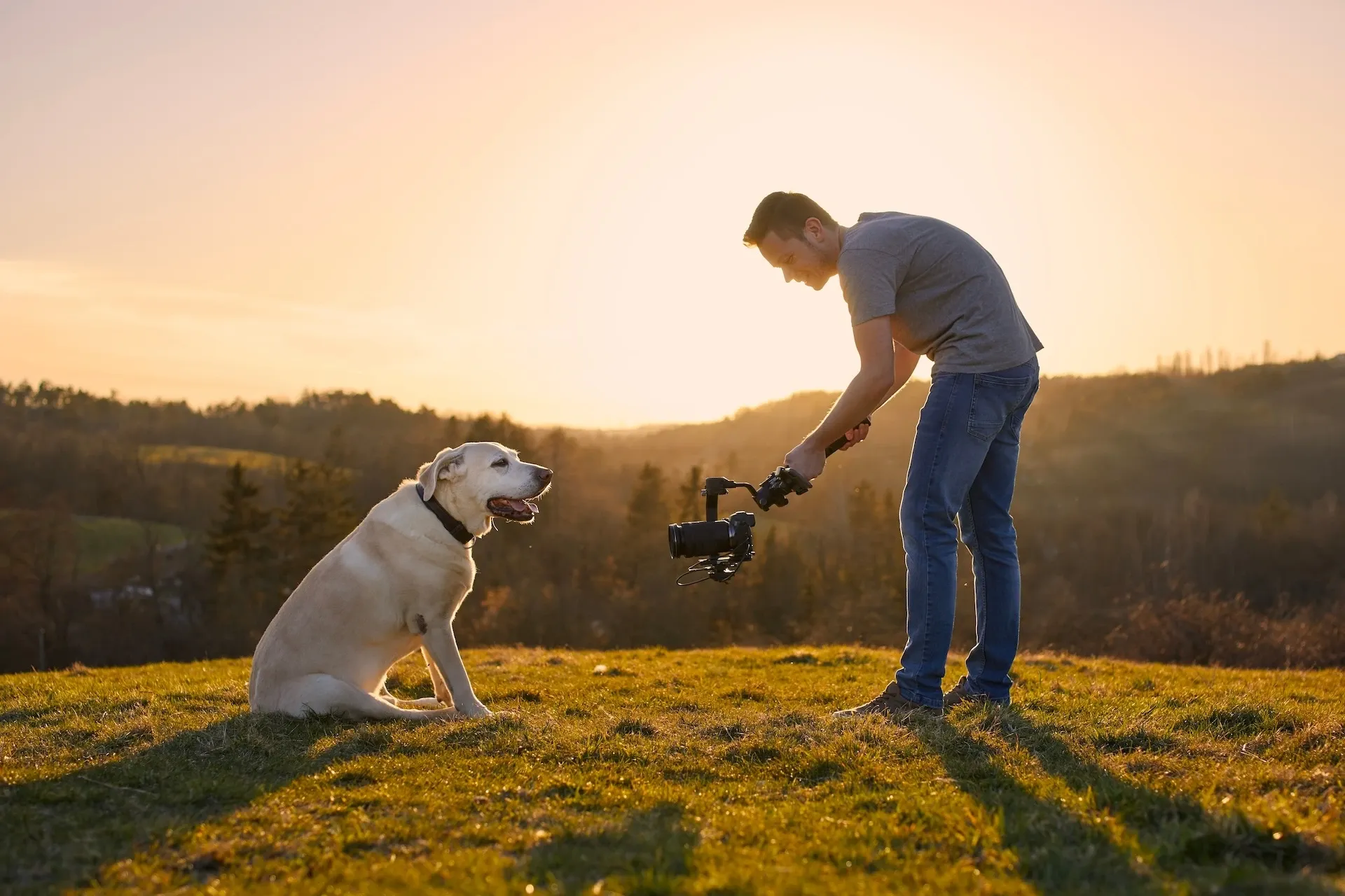 Filming a dog
