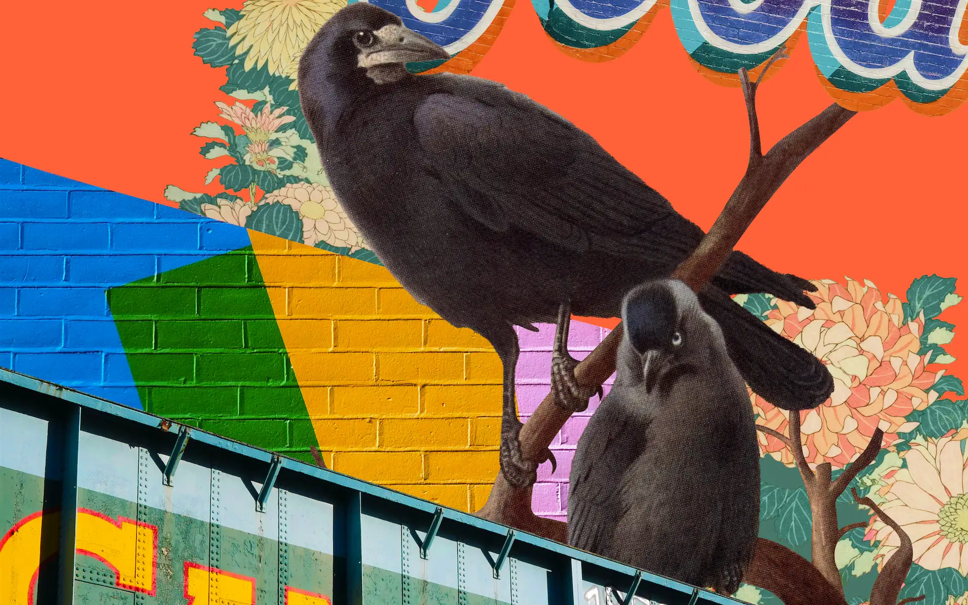 Two crows above Camden Lock
