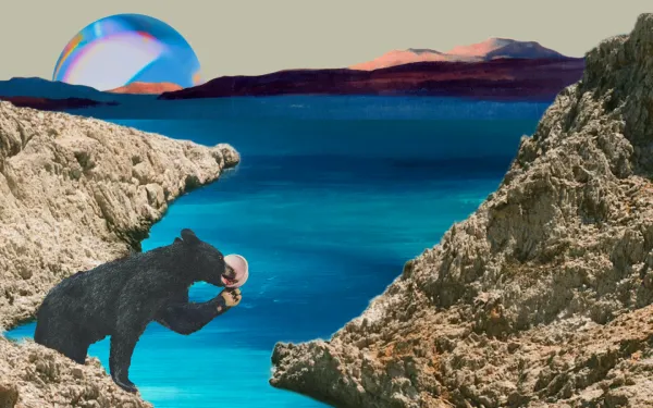 A bear licking a bowl on a cliff-face